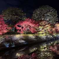 怎能抗拒「東寺夜楓」的倒影😍