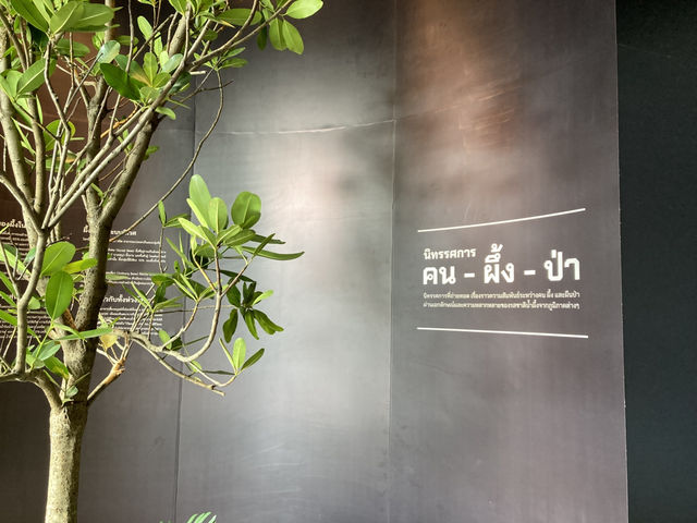 นิทรรศการ “คน-ผึ้ง-ป่า”