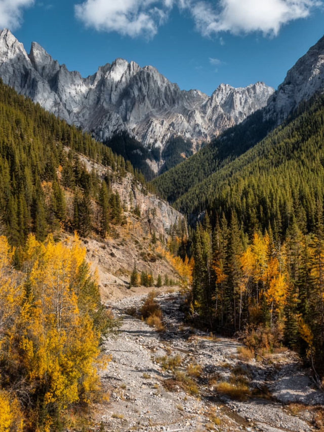 A Road Trip Guide to Kananaskis Country 