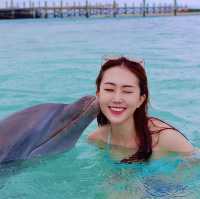 돌고래랑 수영도 했던 호화로운 크루즈 여행🚢