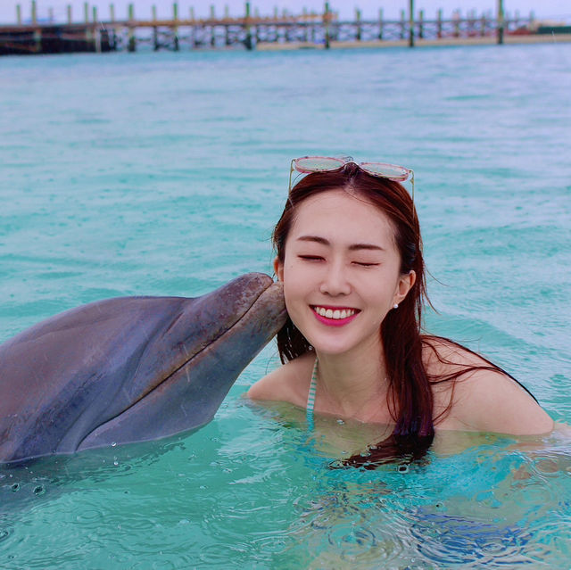 돌고래랑 수영도 했던 호화로운 크루즈 여행🚢