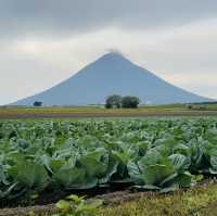指宿：从长崎鼻去JR最南站打卡