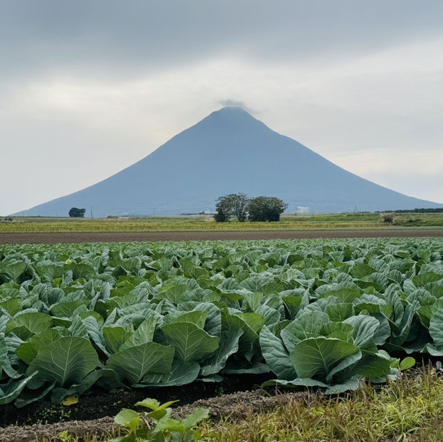 指宿：从长崎鼻去JR最南站打卡