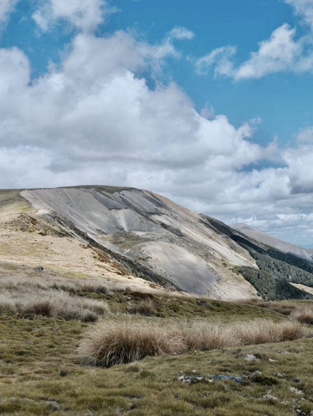 Step Into Paradise: Hiking Nelson Lakes National Park