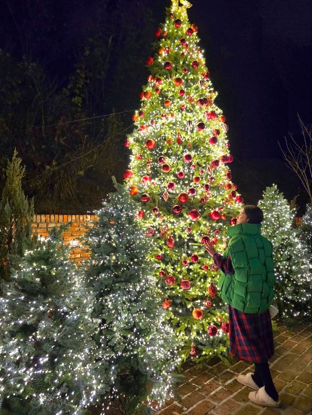 반짝이는 트리분수와 눈내리는 거제카페🎄