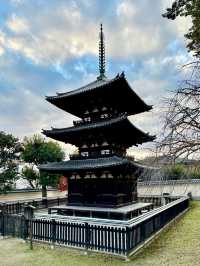 【奈良　興福寺】