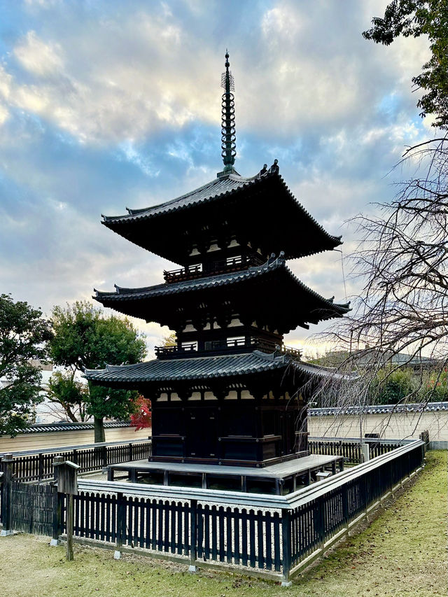 【奈良　興福寺】