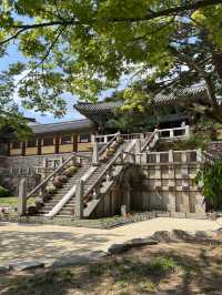 【韓国旅行】慶州／仏様の世界に迷い込んだ、不思議な感覚になるお寺