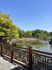 【韓国旅行】慶州／新羅時代をのんびり感じる韓国最古の古墳群✨️