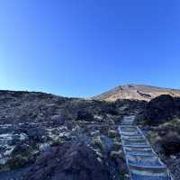 Tongariro alpine crossing amidst volcanoes - New Zealand
