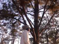ริมฝั่งโขงที่เมืองเลย