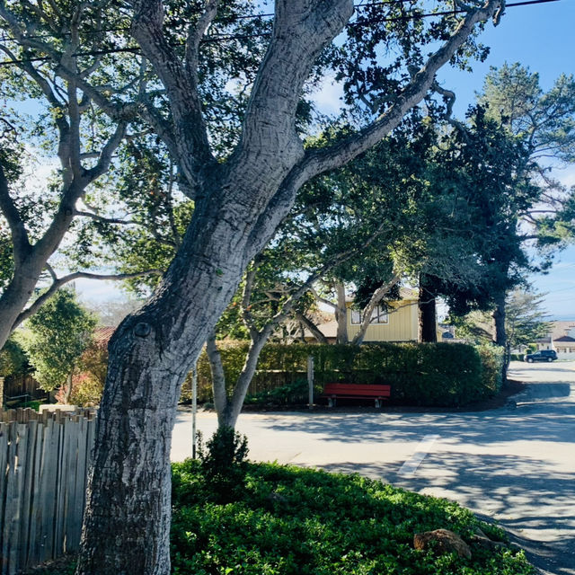 Holiday in Monterey, California