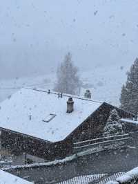 Grindelwald - First Cliff Walk แบบหิมะฉ่ำๆ
