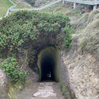 Tunnel Beach: A Secluded Gem with Breathtaking Ocean Views