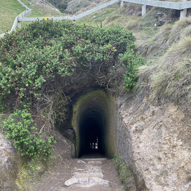 Tunnel Beach: A Secluded Gem with Breathtaking Ocean Views