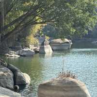 金灣金山公園：陽光下的自然☀️