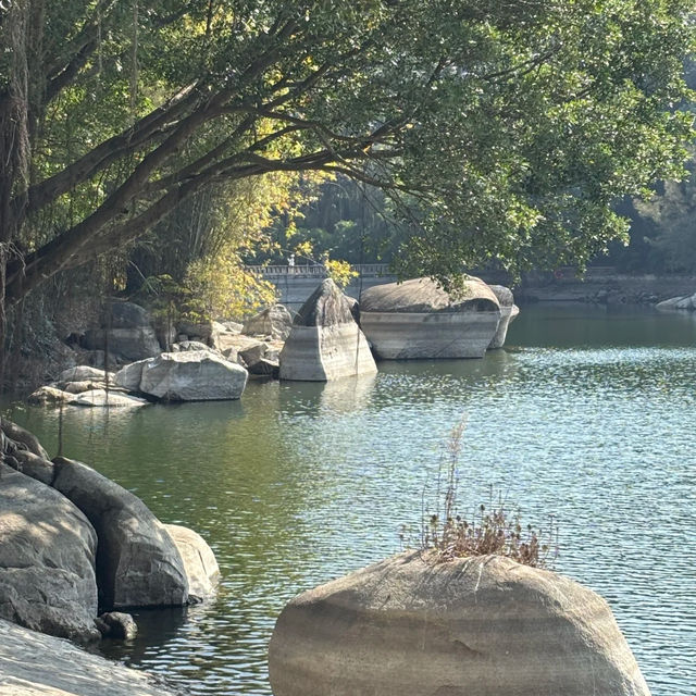 金灣金山公園：陽光下的自然☀️