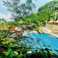 One of the most pricesless vaca.