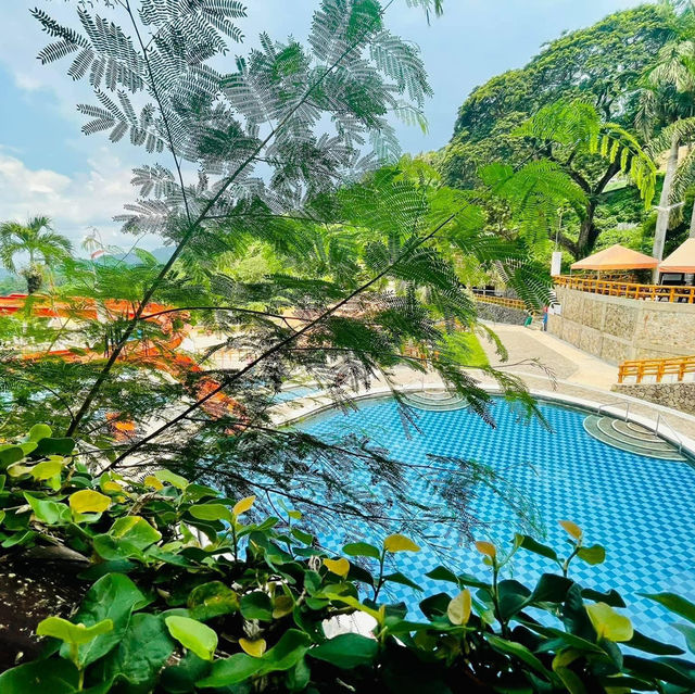 One of the most pricesless vaca.