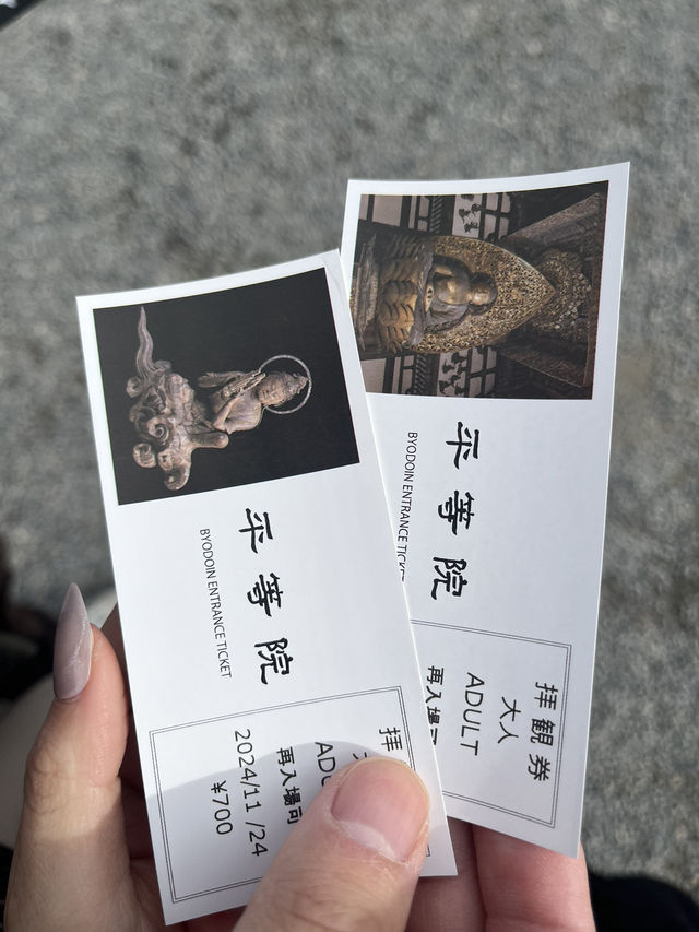 【京都　宇治】紅葉シーズンの平等院