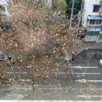My trip to Chengdu 