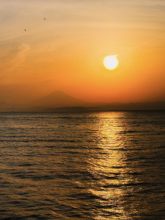 Discover the Charm of Enoshima Island, Tokyo’s Coastal Gem