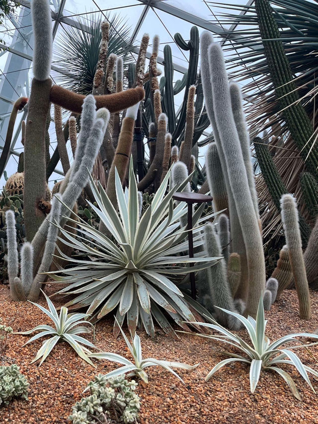 Flower Dome at Gardens by the Bay in Singapore 🇸🇬 