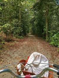 Pulau Ubin: Singapore’s Undiscovered Natural Paradise