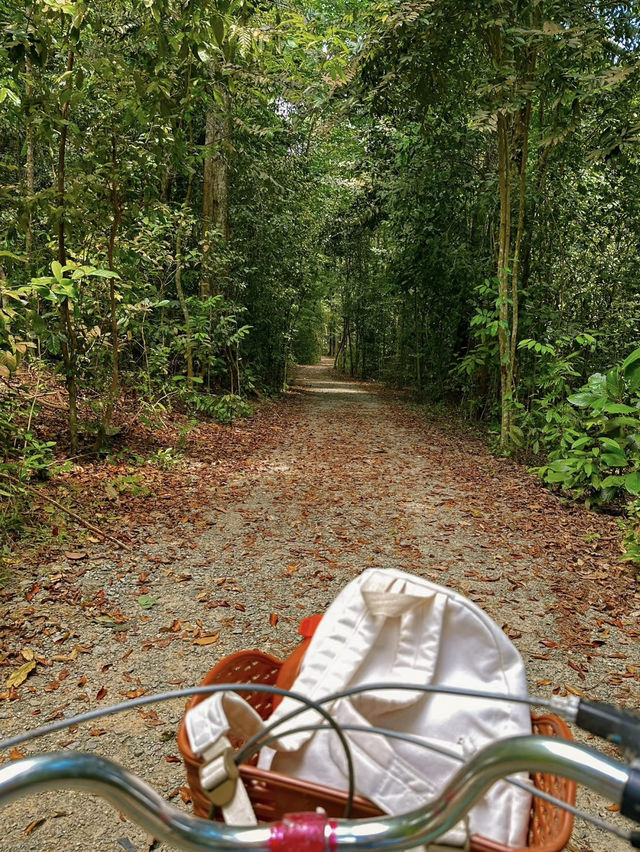 Pulau Ubin: Singapore’s Undiscovered Natural Paradise