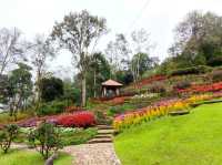 ชมสวนดอกไม้เชียงราย สวนรุกขชาติแม่ฟ้าหลวง