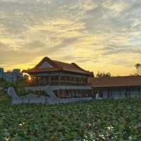 Jurong Lake Gardens: A Peaceful Retreat in Singapore