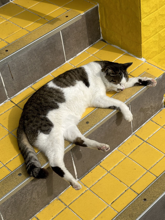 부산 명소 흰여울문화마을 