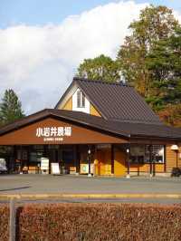 【小岩井農場】本場の牧場ならではの魅力🐄
