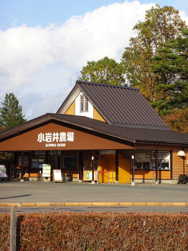 【小岩井農場】本場の牧場ならではの魅力🐄