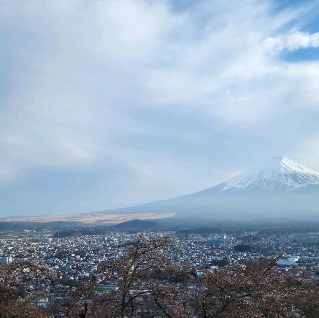 Three different ways from Tokyo to Mt. Fuji, which one suit you?