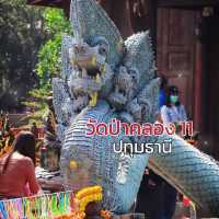 🐉ดินแดนดญานาค วัดป่าคลอง11  จ.ปทุมธานี