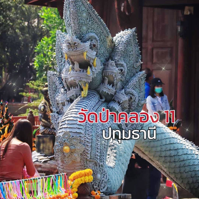 🐉ดินแดนดญานาค วัดป่าคลอง11  จ.ปทุมธานี