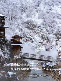 スノーモンキーに会いに行こう♪【地獄谷野猿公苑】