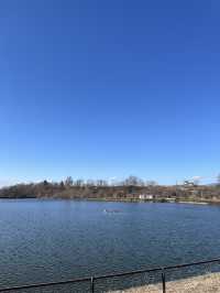 【佐久市🇯🇵】貯水池に集まる鳥が見える公園🕊️