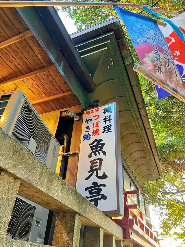 【江の島】絶景スポットで食べる絶品しらす丼