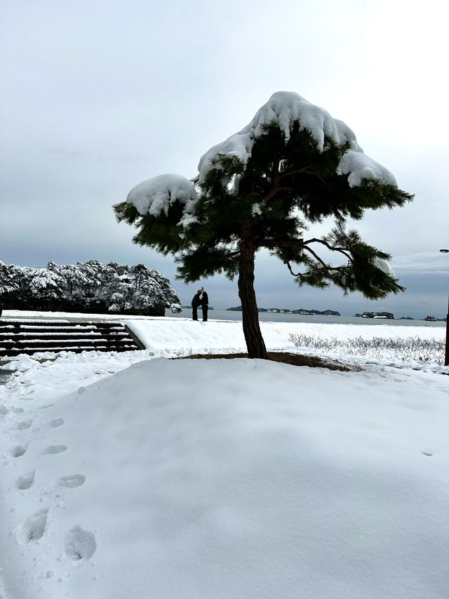 【宮城×冬の旅】日本三景のひとつ「松島」260余りの島々