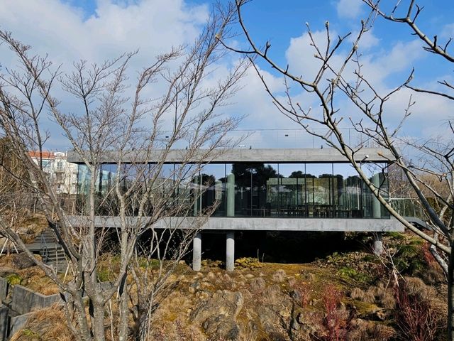 제주 서귀포 카페 | 베케 정원카페