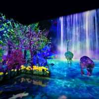福岡📍 TeamLab Forest