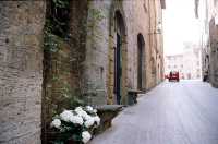 Sunny San Gimignano