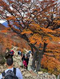 สัมผัสความสวยงามของเส้นทาง Patagonia 