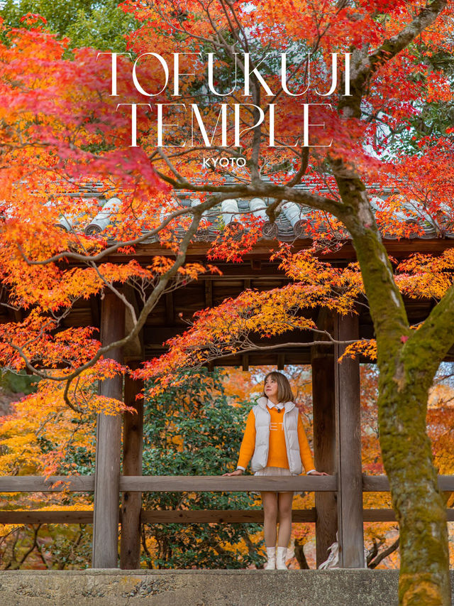 Tofukuji Temple หนึ่งในจุดชมใบไม้เปลี่ยนสีเกียวโต🍁