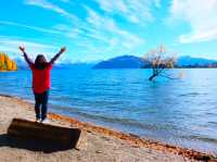 Lake Wanaka นิวซีแลนด์