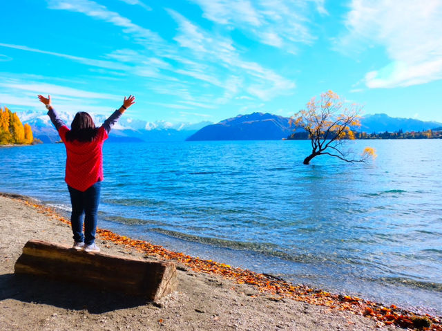 Lake Wanaka นิวซีแลนด์