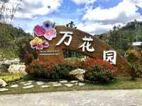 Frost-Kissed Floral Haven @Betong