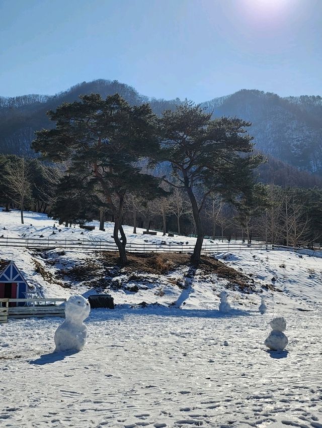 드넓은 야외에서 동물을 볼 수 있는 해피초원목장🤍